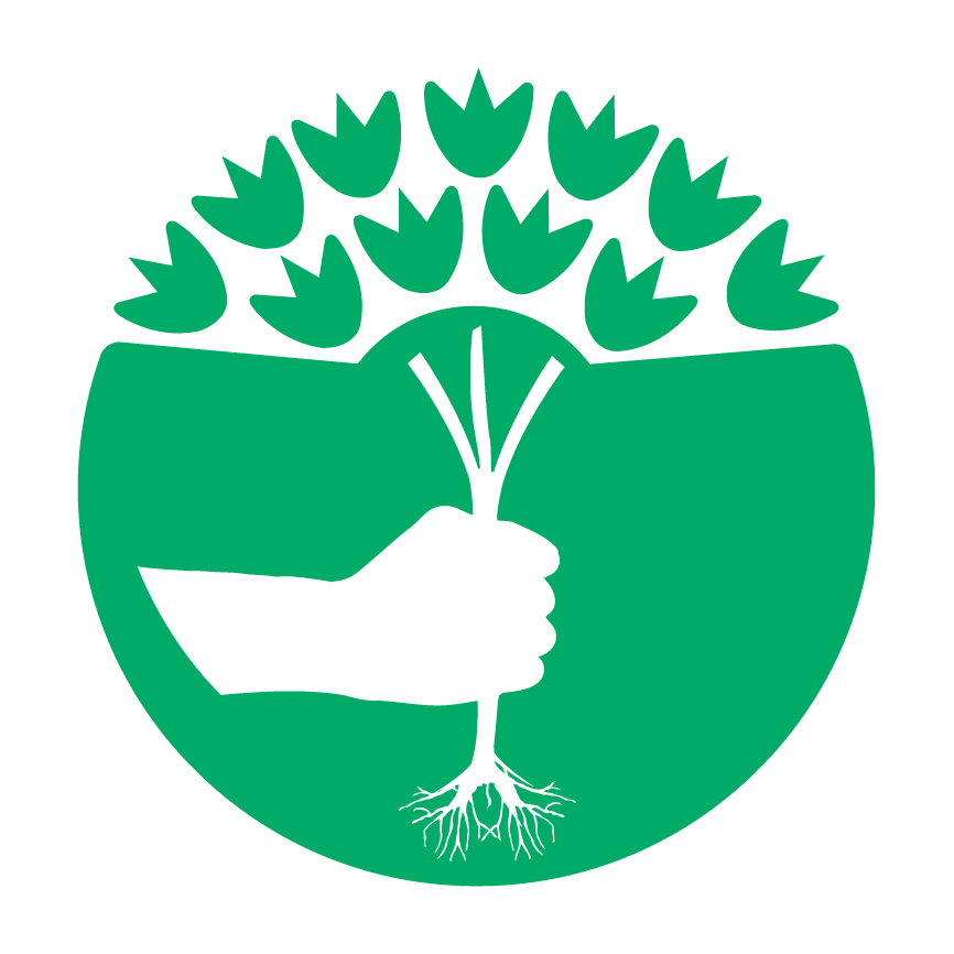 Okolica šole